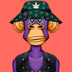 Ape runners