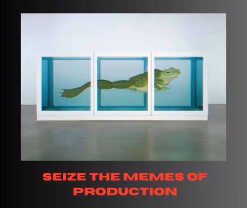 Item #6 Media
