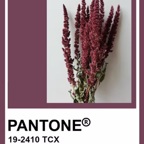 Pantone