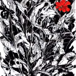 HODLFlowers#15