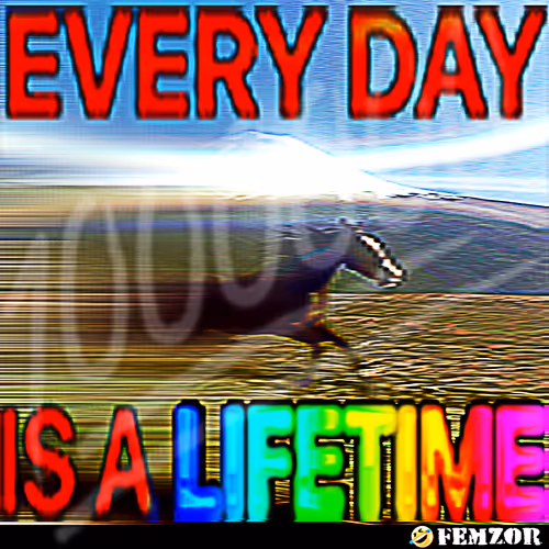 lifetime
