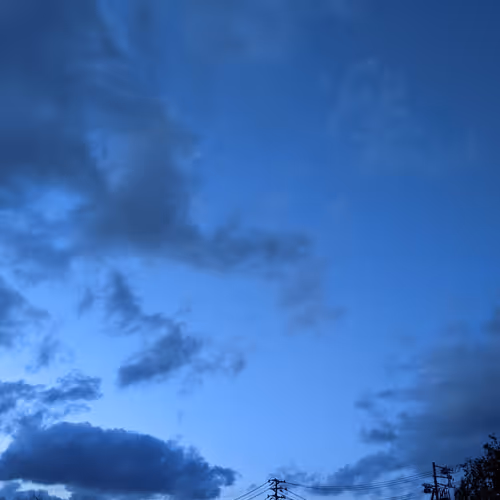Belonging Nowhere but Calm #13