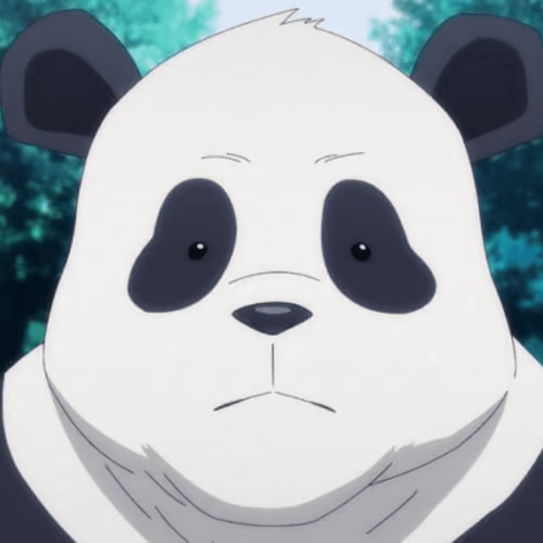 Beautiful panda 