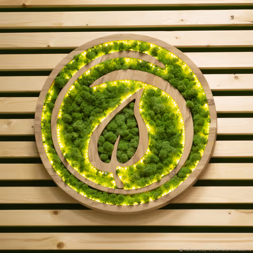 GREEN ZORB 1