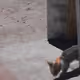 A Cute Surprise