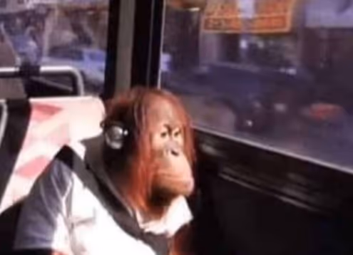 Ape goes to Fiat Mines