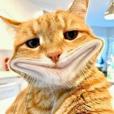 Mzcat 