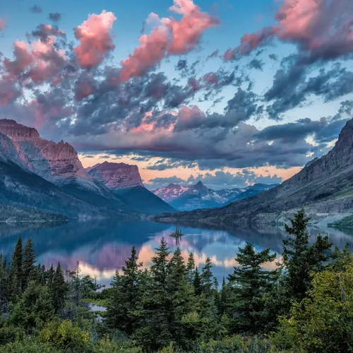Montana #45