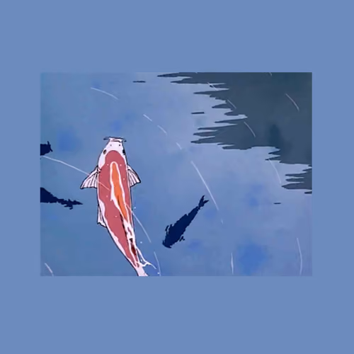 錦鯉