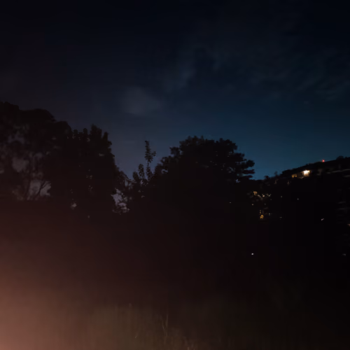night walk
