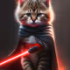 Star Wars Kitty’s collection