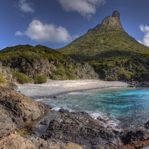 Erika 2011 1