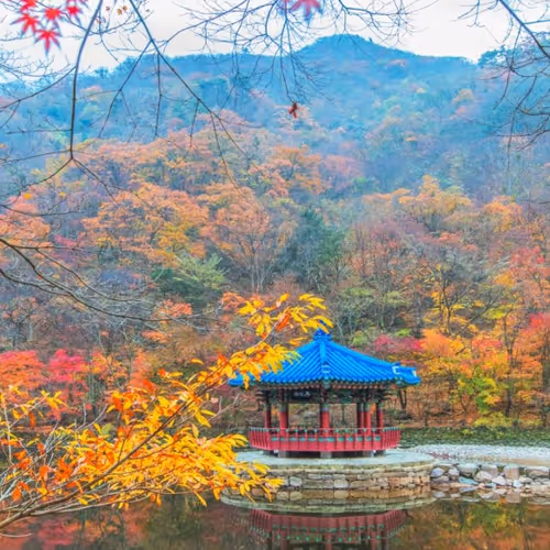 내장산