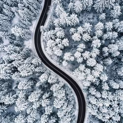 cold