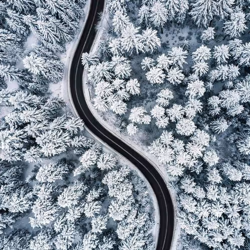 cold
