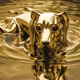 Cyber Dog In Gold Water