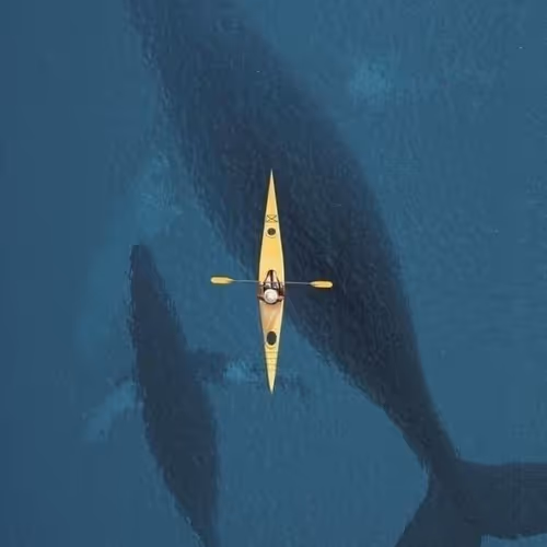 Amazing Adventure
