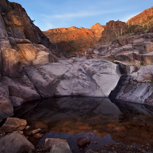 Rick 5653 1