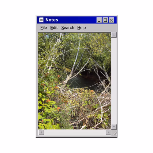 Item #11 Media