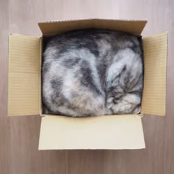 Your delivery has arrived.