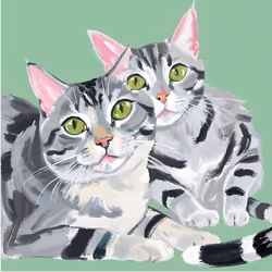 Monta&Torata