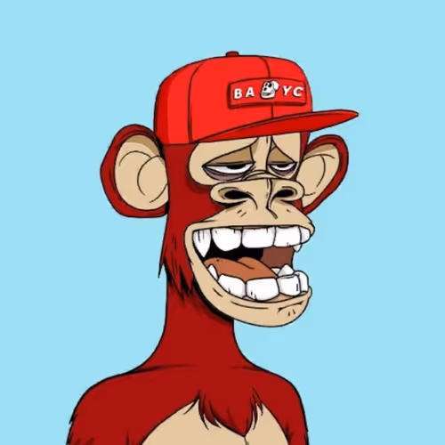kosta 1