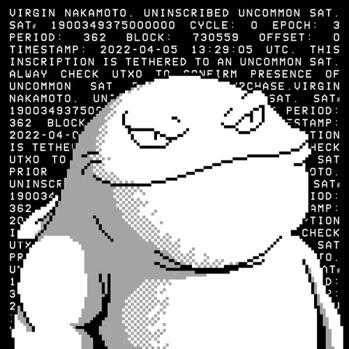 Whales Gang