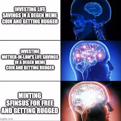 Degen $FINSUS meme