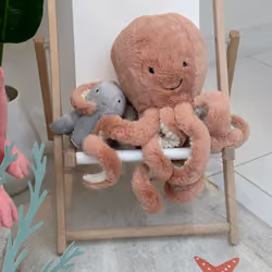 Octopus friends