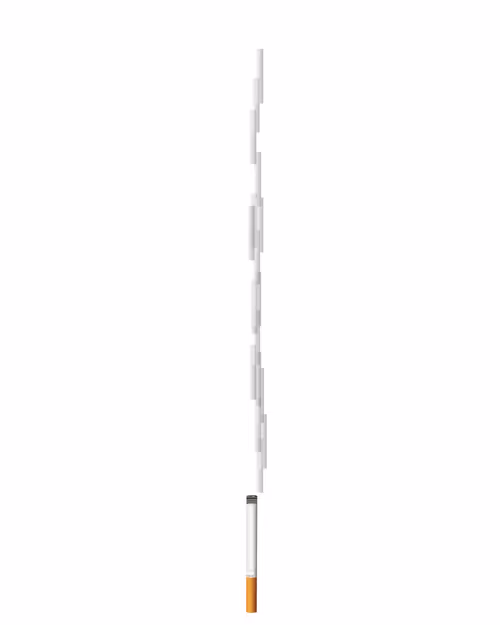 Item #113 Media