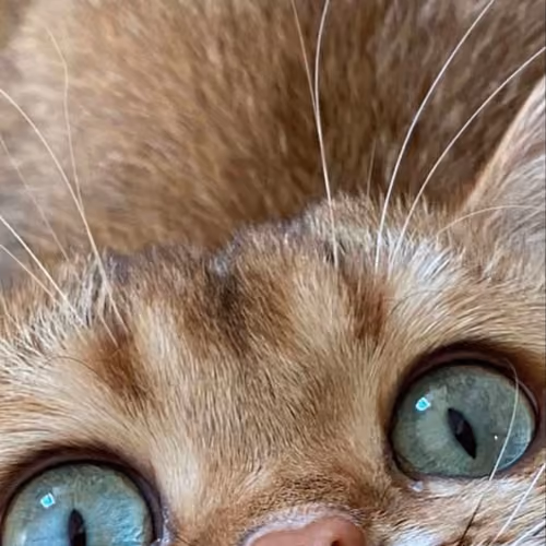 Wow