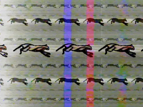 Item #63 Media