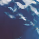 Breathing