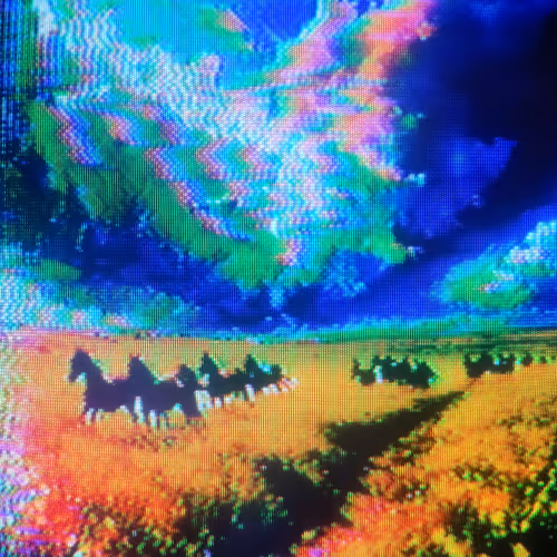 herd_of_horses
