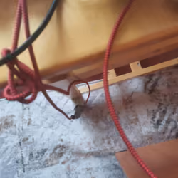 wires wires