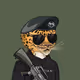 UA_cat