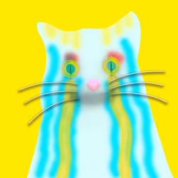 Quantum cat
