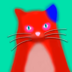 Quantum cat
