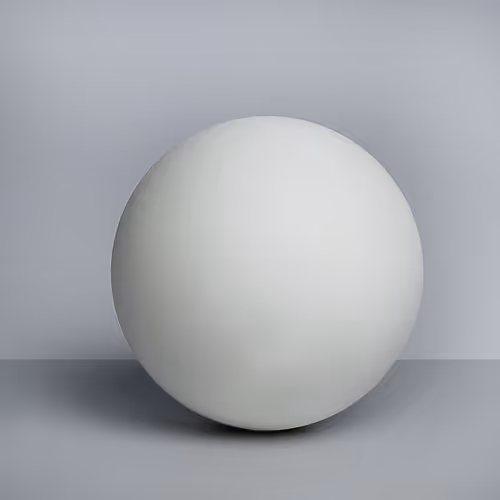 Item #24 Media