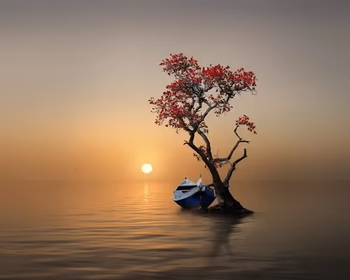 tree