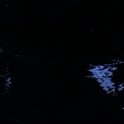 It still haunts me every night 23