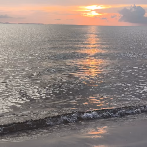 Sunset Summer