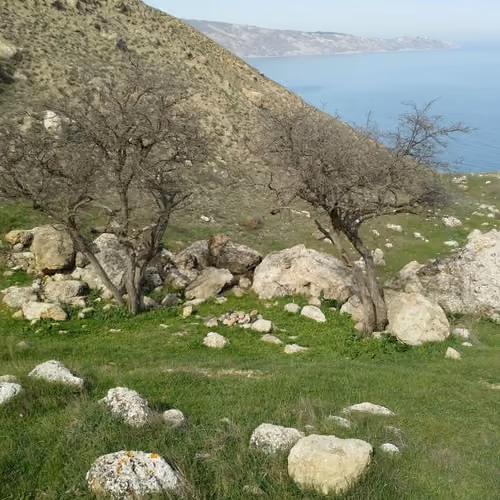 The green mountains