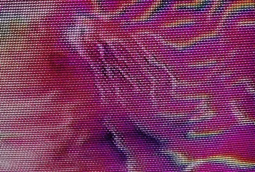 Ellie Pritts: Practicing Transcendental AI (A Film By ZORA) 438