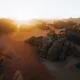 Light the sky
