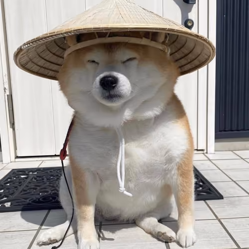ETHDOGE #1