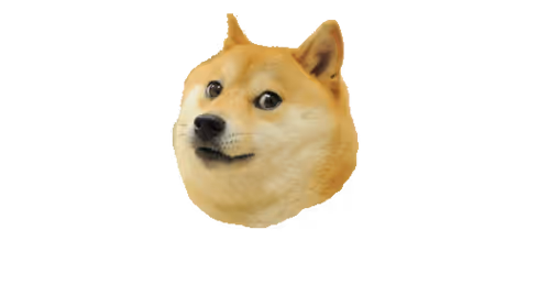 DOGE 57/100