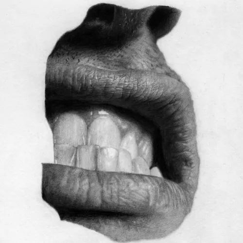 Bite with Teeth #37