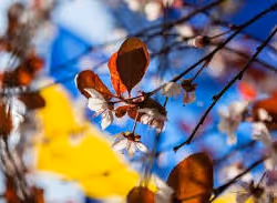 images (28)