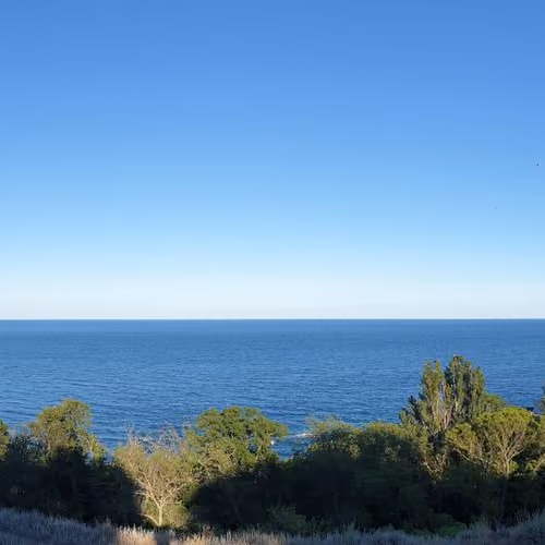 Sea 1